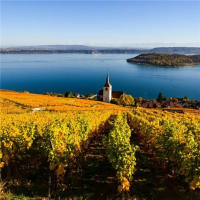 ob体育最新官网app下载