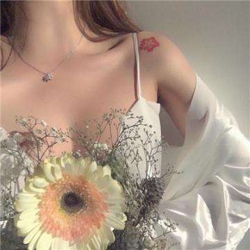 亚搏apo官网下载